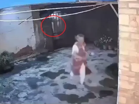 Đang đứng ngoài sân, cụ bà bất ngờ thấy cảnh tượng "nổi da gà" giữa đêm