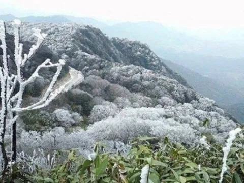 Dự báo thời tiết 14/1: Không khí lạnh tiếp tục bao phủ miền Bắc, trời rét đậm