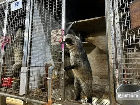 Về quê nuôi 70 “con khó tính”, sau 3 năm người đàn ông sở hữu cơ ngơi tiền tỷ