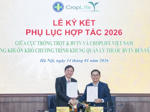 Tăng cường hợp tác thúc đẩy quản lý thuốc bảo vệ thực vật bền vững