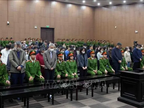 Tuyên phạt 20 năm tù đối với cựu Cục trưởng Cục An toàn thực phẩm