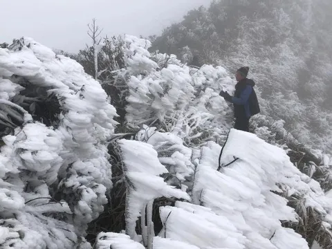 Dự báo thời tiết 16/1: Miền Bắc đón đợt không khí lạnh mạnh, trời chuyển rét đậm diện rộng