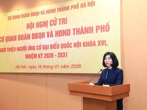 Giới thiệu bà Phùng Thị Hồng Hà ứng cử đại biểu Hội đồng nhân dân TP. Hà Nội khóa XVII