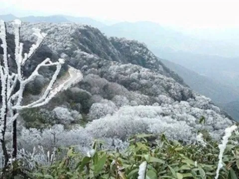 Dự báo thời tiết 18/1: Miền Bắc sắp đón không khí lạnh cực mạnh, dự báo ngày rét đậm nhất