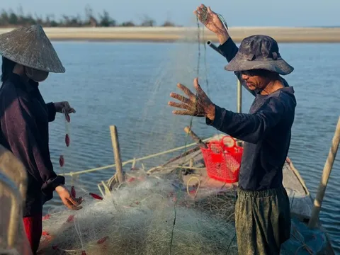 Ngư dân Hà Tĩnh trúng đậm hàng trăm tấn "lộc trời", "đút túi" tiền triệu mỗi ngày
