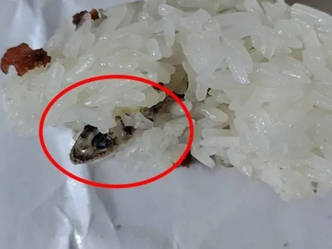 Đang ăn xôi, người đàn ông "tái mặt" khi phát hiện ra thứ đáng sợ