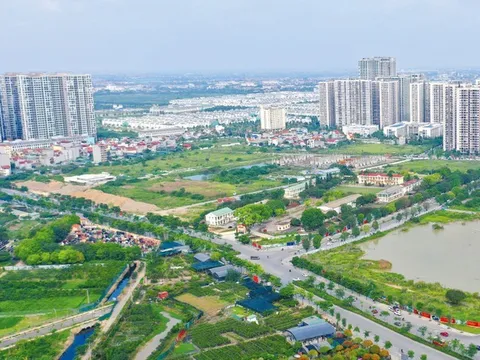 Dự án đầu tư kinh doanh nào phải tổ chức đấu thầu lựa chọn nhà đầu tư?