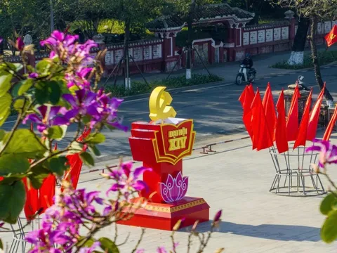 Rực rỡ cờ, hoa chào mừng Đại hội XIV của Đảng