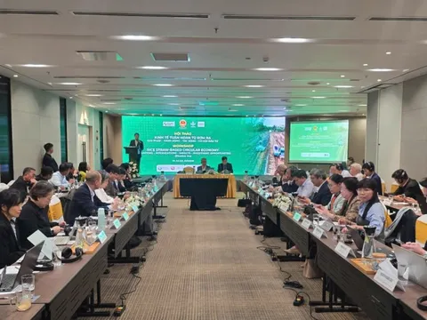 Kinh tế tuần hoàn từ rơm rạ mở lối cho nông nghiệp phát thải thấp