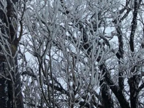 Dự báo thời tiết 21/1: Miền Bắc đón không khí lạnh tăng cường cực mạnh, có nơi dưới 6 độ C