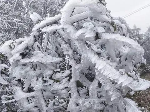 Dự báo thời tiết 22/1: Miền Bắc đón đợt không khí lạnh rất mạnh, dự báo nơi rét đậm nhất