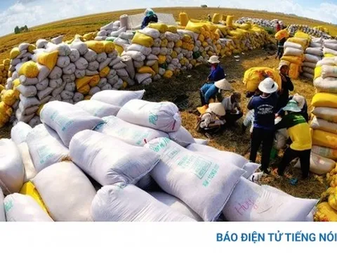 Việt Nam đạt kỷ lục dự trữ nhà nước 500.000 tấn lương thực