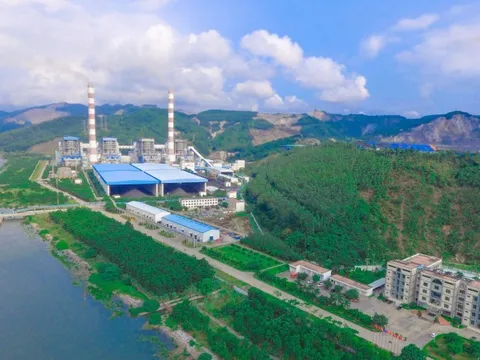 Doanh thu giảm, lợi nhuận Nhiệt điện Quảng Ninh vẫn lên đỉnh 5 năm