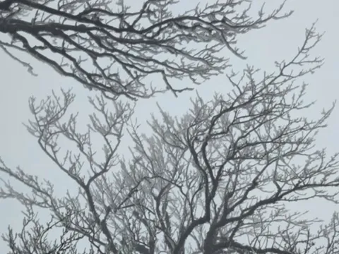 Dự báo thời tiết 25/1: Miền Bắc tiếp tục "chìm" trong rét đậm, mưa phùn khiến giá buốt tăng cao