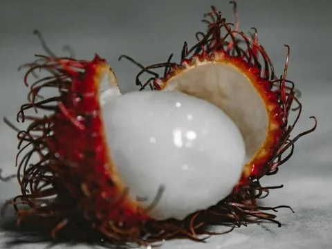 Cậu bé 5 tuổi tử vong thương tâm sau khi ăn quả chôm chôm