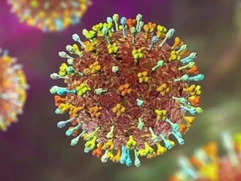 Ứng phó dịch virus Nipah: Nhiều sân bay lớn giám sát y tế như thời COVID-19