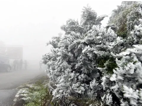 Dự báo thời tiết 31/1: Miền Bắc đón đợt không khí lạnh cường độ cực mạnh, nơi rét nhất bao nhiêu độ?