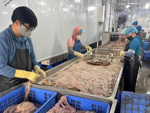 Hà Nội phát hiện kho lạnh với gần 60 tấn lòng lợn không rõ nguồn gốc