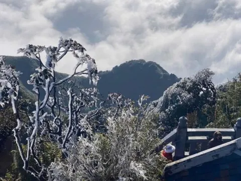 Dự báo thời tiết 2/2: Khối không khí lạnh mạnh tăng cường khiến nền nhiệt miền Bắc giảm sâu, trời rét đậm