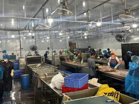 Xã Nam Phù thông tin chính thức về vụ thu giữ hơn 60 tấn thực phẩm không rõ nguồn gốc