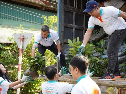 ABBANK trao tặng 100.000 cây quế cho người dân xã Thông Thụ, tỉnh Nghệ An