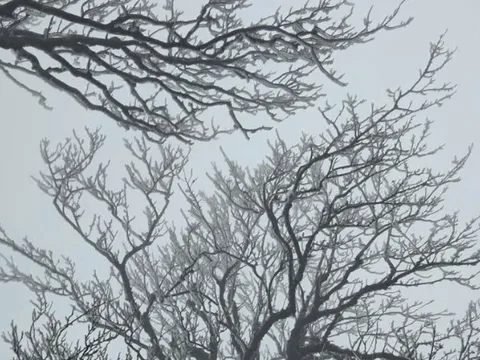 Miền Bắc liên tiếp đón không khí lạnh cường độ mạnh, trời rét đậm