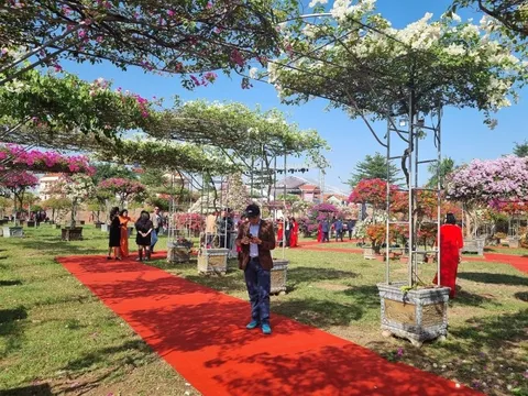 Lễ hội hoa, cây cảnh, sản phẩm OCOP - tái hiện sống động không gian “Tết Việt – Hồn cốt người Việt“