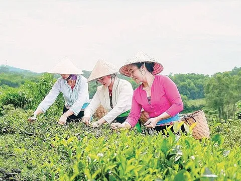 Sắp diễn ra Triển lãm sản phẩm thủ công mỹ nghệ phục vụ Xuân Bính Ngọ 2026 tại xã Suối Hai