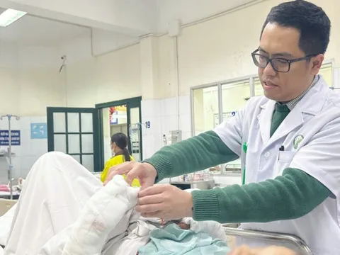 Bị chó tấn công, bà cụ 75 tuổi nguy kịch