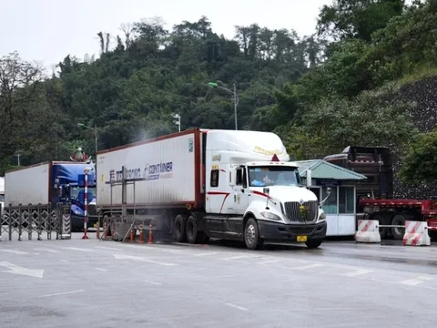 Tạm dừng áp dụng Nghị định 46 về an toàn thực phẩm đến hết ngày 15/4/2026