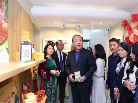 Giới thiệu Không gian trưng bày, livestream “Sức sống hàng Việt”