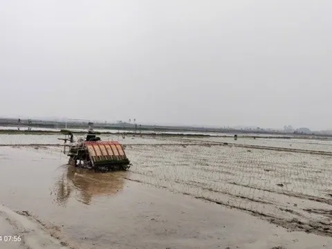 Xã Ứng Thiên đẩy nhanh tiến độ sản xuất, phát huy hiệu quả cấy máy