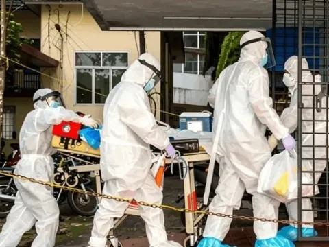 WHO xác nhận ca tử vong do nhiễm virus Nipah