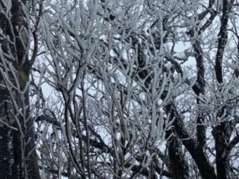 Dự báo thời tiết 10/2: Khi nào miền Bắc chấm dứt rét đậm?