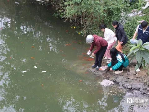 Ngày cúng ông Công, ông Táo: Cá chép "ngộp thở" vì tro rác phủ kín mặt sông