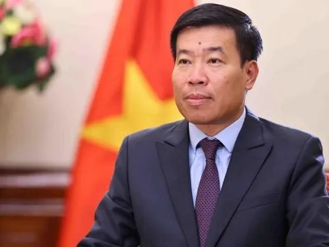 Chủ động, tích cực triển khai Nghị quyết Đại hội Đảng toàn quốc lần thứ XIV trong công tác đối ngoại