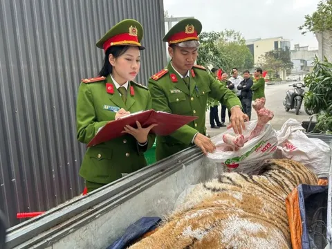 Khởi tố, bắt tạm giam đối tượng xây hầm bí mật dưới lòng đất để nấu cao hổ