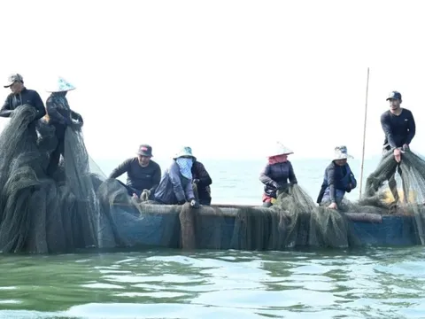 Người dân bám hồ mưu sinh, giữ nhịp xuân giữa mênh mang sóng nước trên hồ Trị An