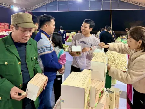 Nguồn cung dồi dào, thị trường ổn định: Người dân Thủ đô yên tâm mua sắm Tết