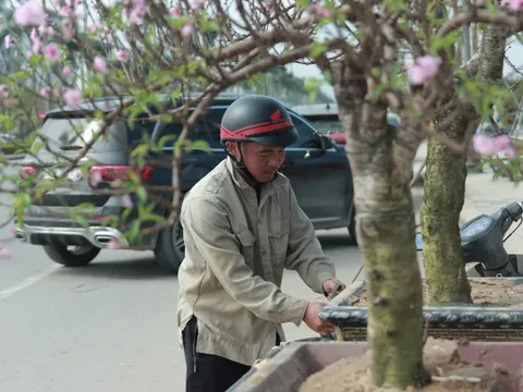 Lao động kiếm tiền triệu bằng nghề “chở Tết về nhà”