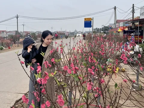 Người dân tấp nập mua sắm ngày 29 Tết, trái cây ngũ quả hút hàng