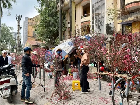 Không xảy ra “sốt giá” trong ngày 29 Tết Bính Ngọ 2026