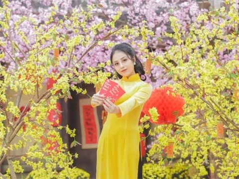 Dự báo thời tiết 19/2 (mồng 3 Tết Bính Ngọ): Miền Bắc sắp đón thêm đợt không khí lạnh tăng cường mới, trời mưa rét