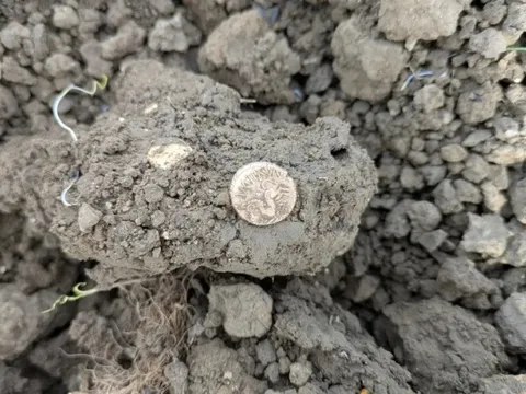 Dò kim loại, người đàn ông phát hiện kho báu quý giá trên cánh đồng