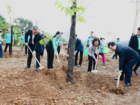 Hội Nông dân thành phố Hà Nội phát động trồng 5.000 cây đầu năm 2026