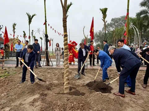 Xã Ứng Thiên phấn đấu trồng 2.500 cây xanh trong năm 2026