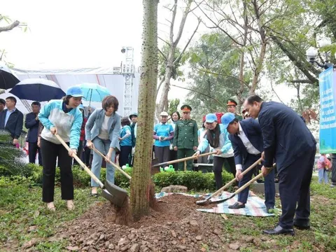 Tết trồng cây “Đời đời nhớ ơn Bác Hồ” tại Công viên Võ Thị Sáu