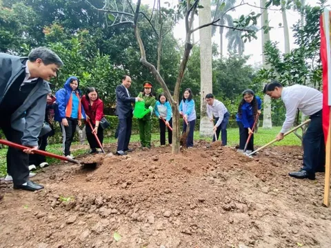 Tây Hồ triển khai công trình Tết trồng cây tại Khu Di tích Phủ Chủ tịch