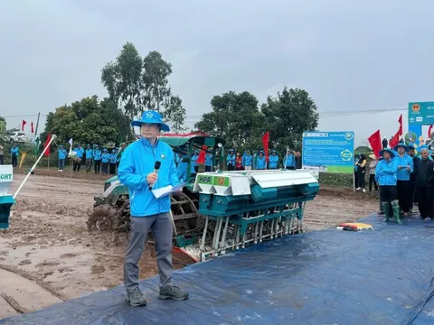 Lúa phát thải thấp: Đồng bằng sông Hồng vào guồng chuyển đổi xanh