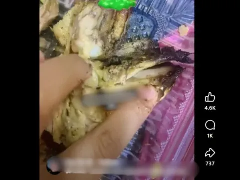 Mua gà về ăn, người phụ nữ phát hiện đầy giòi bám bên trong